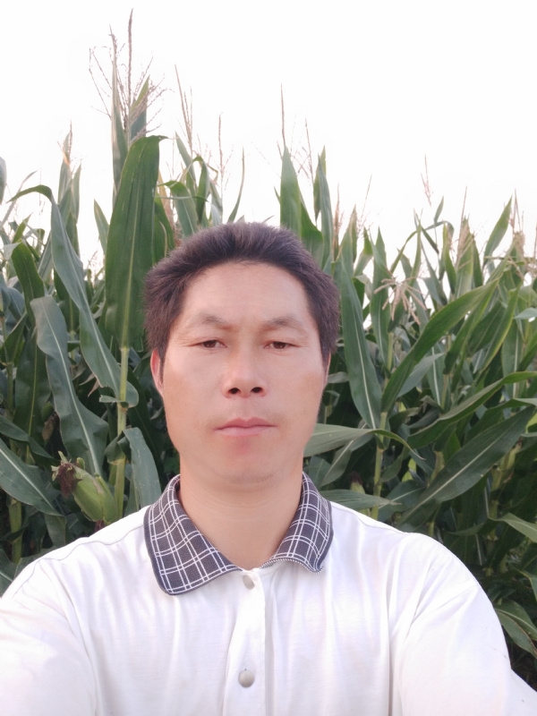 四海游龙的第二张照片--武夷山相亲网