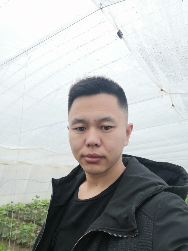 宇成的第二张照片--武夷山相亲网