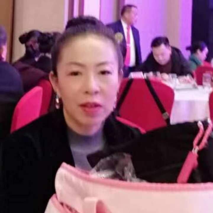 中秋桂花玉兔的第四张照片--武夷山相亲网